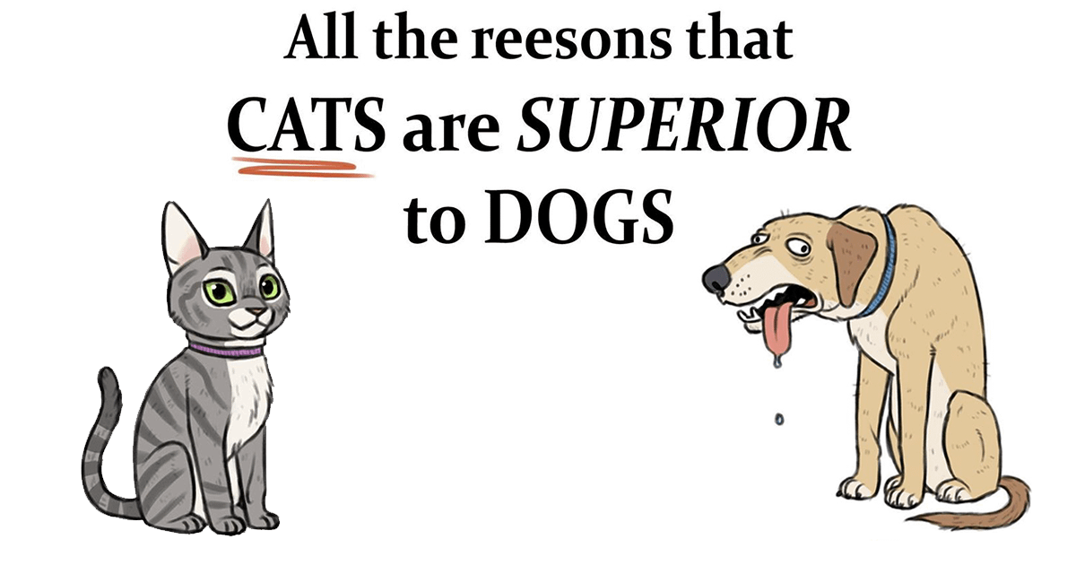 4 Hilarious Comics Explaining Why Cats Are Better Than Dogs CAT INFO
